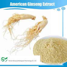 Ginseng americano del pesticida bajo, Ginseng secado, extracto americano del ginseng